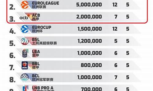 联赛人均工资排名2015_五大联赛球员平均收入